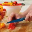 Picture of Comfort Grip Knife Set S/5 Assorted