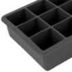 Picture of Perfect Cube Ice Trays S/2 Charcoal