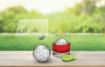 Picture of Soccer Ball Craft Ice Molds - Set of 2