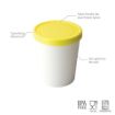 Picture of Sweet Treats Tub 1 QT Lemon